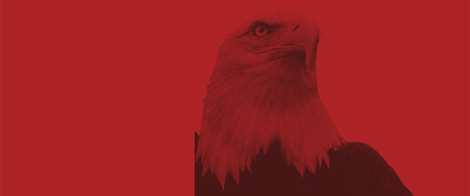 美国鹰牌涂料集团